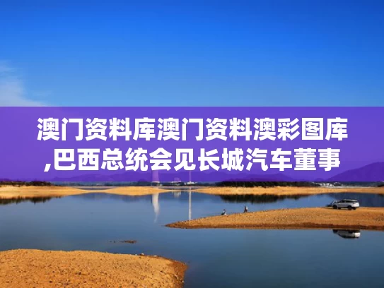 澳门资料库澳门资料澳彩图库,巴西总统会见长城汽车董事长魏建军
