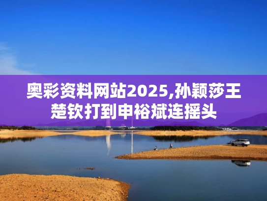 奥彩资料网站2025,孙颖莎王楚钦打到申裕斌连摇头