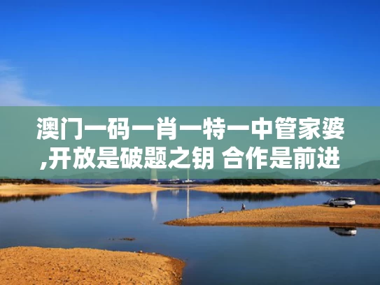 澳门一码一肖一特一中管家婆,开放是破题之钥 合作是前进之道