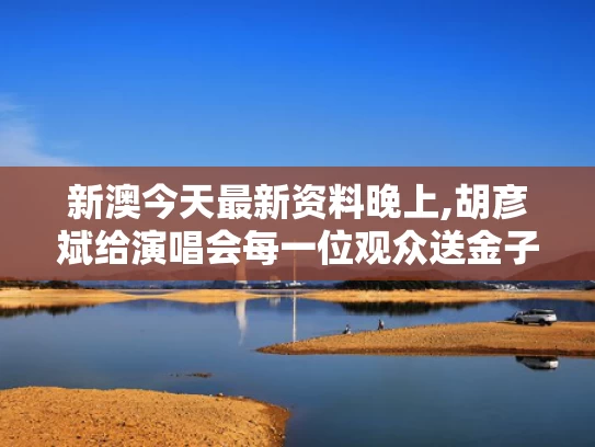 新澳今天最新资料晚上,胡彦斌给演唱会每一位观众送金子