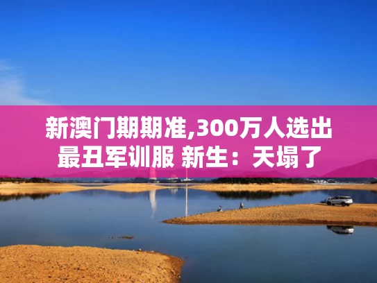新澳门期期准,300万人选出最丑军训服 新生：天塌了
