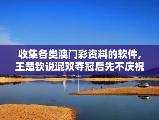 收集各类澳门彩资料的软件,王楚钦说混双夺冠后先不庆祝