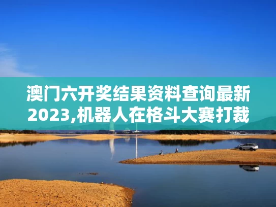 澳门六开奖结果资料查询最新2023,机器人在格斗大赛打裁判