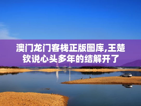 澳门龙门客栈正版图库,王楚钦说心头多年的结解开了