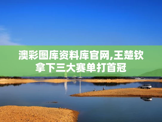 澳彩图库资料库官网,王楚钦拿下三大赛单打首冠