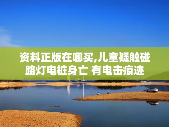 资料正版在哪买,儿童疑触碰路灯电桩身亡 有电击痕迹