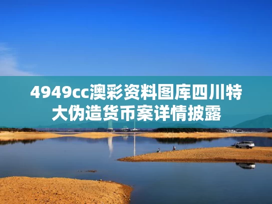 4949cc澳彩资料图库	四川特大伪造货币案详情披露