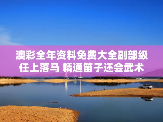 澳彩全年资料免费大全	副部级任上落马 精通笛子还会武术