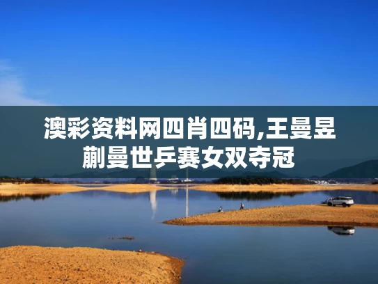 澳彩资料网四肖四码,王曼昱蒯曼世乒赛女双夺冠