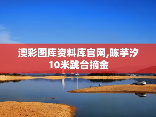 澳彩图库资料库官网,陈芋汐10米跳台摘金