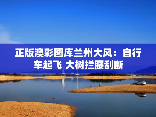 正版澳彩图库	兰州大风：自行车起飞 大树拦腰刮断