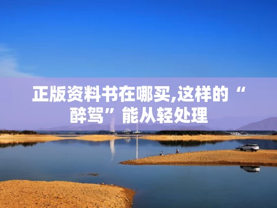 正版资料书在哪买,这样的“醉驾”能从轻处理