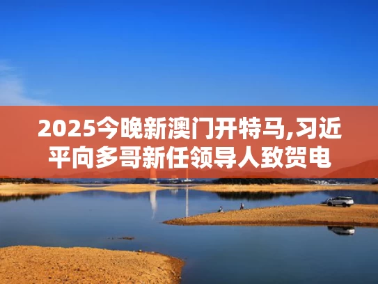2025今晚新澳门开特马,习近平向多哥新任领导人致贺电
