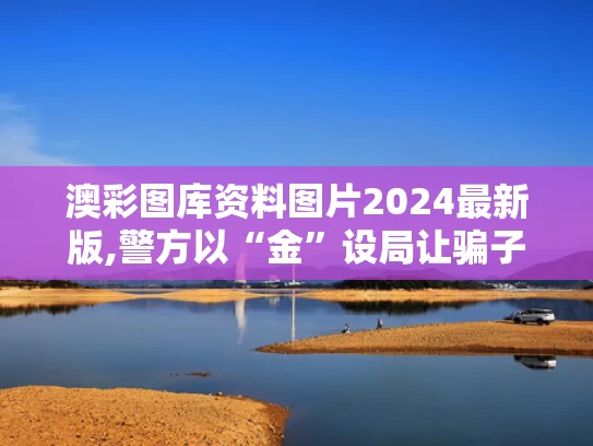 澳彩图库资料图片2024最新版,警方以“金”设局让骗子自投罗网