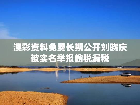 澳彩资料免费长期公开	刘晓庆被实名举报偷税漏税