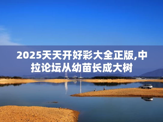 2025天天开好彩大全正版,中拉论坛从幼苗长成大树