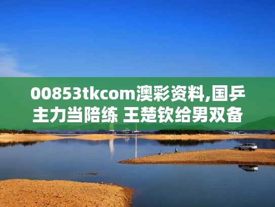 00853tkcom澳彩资料,国乒主力当陪练 王楚钦给男双备战