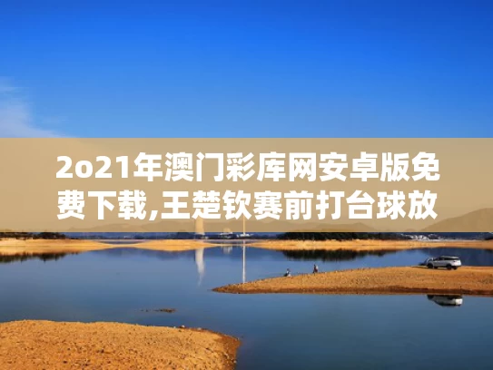2o21年澳门彩库网安卓版免费下载,王楚钦赛前打台球放松