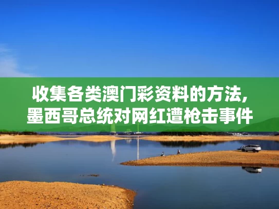 收集各类澳门彩资料的方法,墨西哥总统对网红遭枪击事件发声