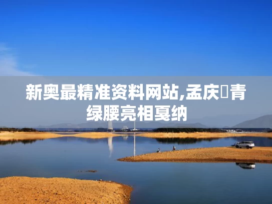 新奥最精准资料网站,孟庆旸青绿腰亮相戛纳
