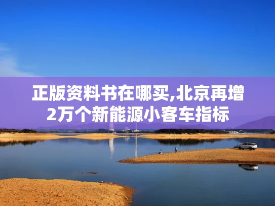 正版资料书在哪买,北京再增2万个新能源小客车指标