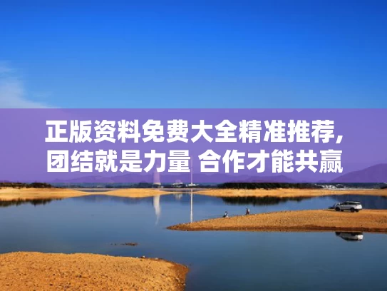 正版资料免费大全精准推荐,团结就是力量 合作才能共赢