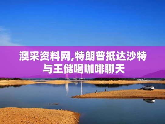 澳采资料网,特朗普抵达沙特 与王储喝咖啡聊天