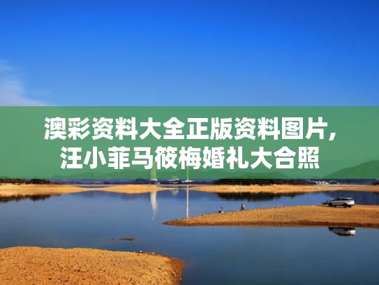 澳彩资料大全正版资料图片,汪小菲马筱梅婚礼大合照