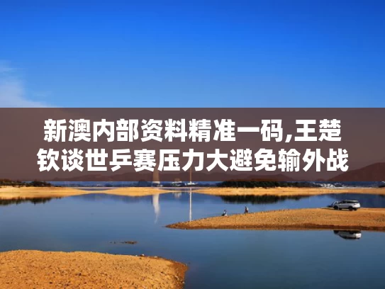 新澳内部资料精准一码,王楚钦谈世乒赛压力大避免输外战