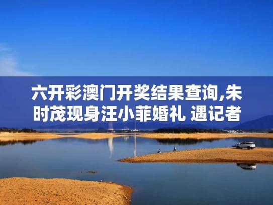 六开彩澳门开奖结果查询,朱时茂现身汪小菲婚礼 遇记者速逃离