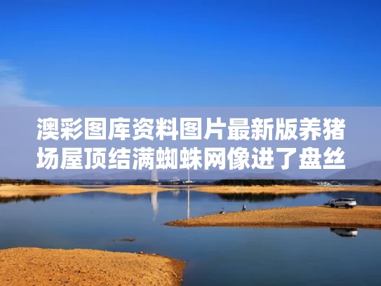 澳彩图库资料图片最新版	养猪场屋顶结满蜘蛛网像进了盘丝洞
