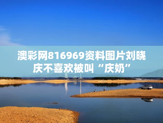 澳彩网816969资料图片	刘晓庆不喜欢被叫“庆奶”