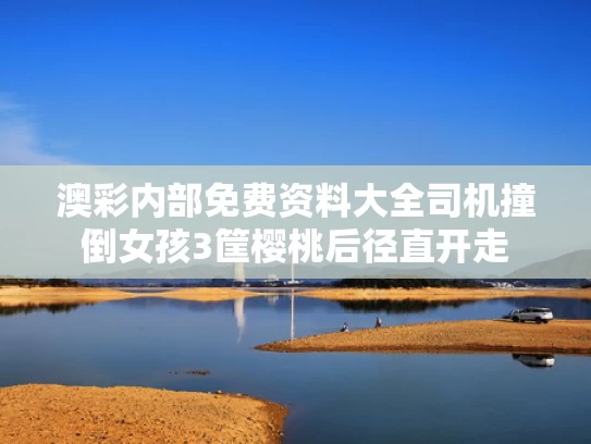 澳彩内部免费资料大全	司机撞倒女孩3筐樱桃后径直开走