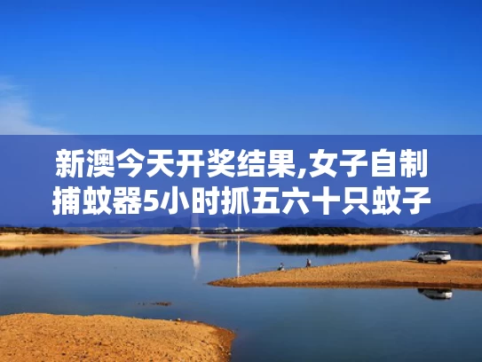 新澳今天开奖结果,女子自制捕蚊器5小时抓五六十只蚊子