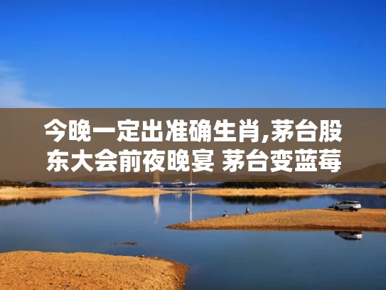 今晚一定出准确生肖,茅台股东大会前夜晚宴 茅台变蓝莓汁