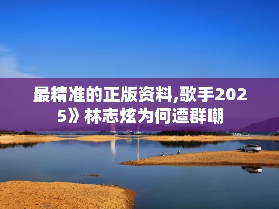 最精准的正版资料,歌手2025》林志炫为何遭群嘲