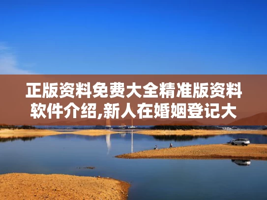 正版资料免费大全精准版资料软件介绍,新人在婚姻登记大厅打架？系摆拍