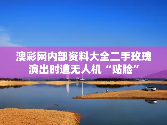 澳彩网内部资料大全	二手玫瑰演出时遭无人机“贴脸”