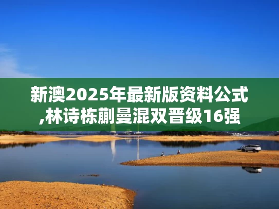新澳2025年最新版资料公式,林诗栋蒯曼混双晋级16强