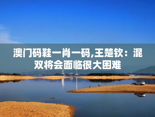 澳门码鞋一肖一码,王楚钦：混双将会面临很大困难