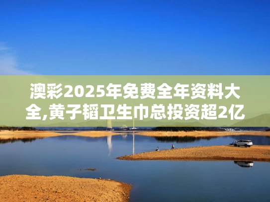澳彩2025年免费全年资料大全,黄子韬卫生巾总投资超2亿