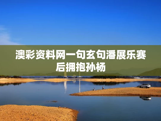 澳彩资料网一句玄句	潘展乐赛后拥抱孙杨
