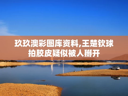 玖玖澳彩图库资料,王楚钦球拍胶皮疑似被人掰开