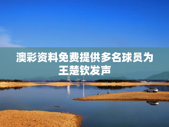 澳彩资料免费提供	多名球员为王楚钦发声