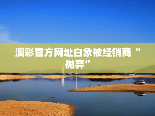 新闻中心 第22页
