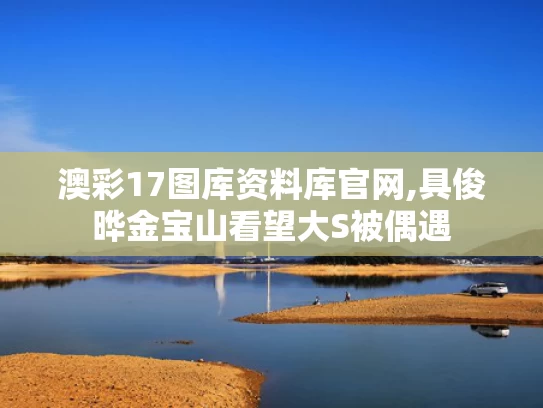 澳彩17图库资料库官网,具俊晔金宝山看望大S被偶遇