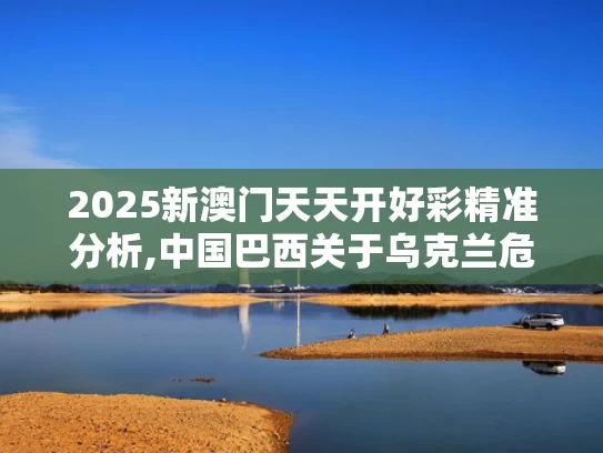 2025新澳门天天开好彩精准分析,中国巴西关于乌克兰危机的联合声明