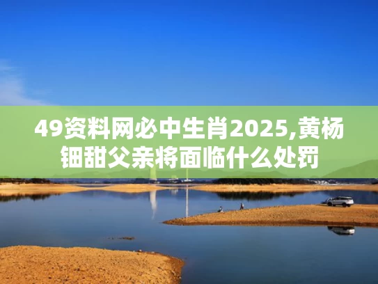 49资料网必中生肖2025,黄杨钿甜父亲将面临什么处罚