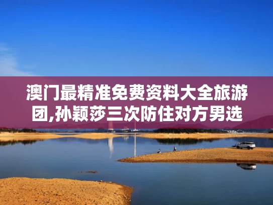 澳门最精准免费资料大全旅游团,孙颖莎三次防住对方男选手倒地爆冲