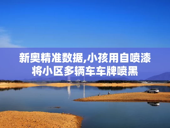 新奥精准数据,小孩用自喷漆将小区多辆车车牌喷黑
